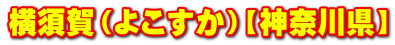 {i悱jy_ސ쌧z