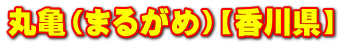 ۋTi܂邪߁jy쌧z